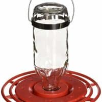 Best-1  8oz. Hummingbird Feeder