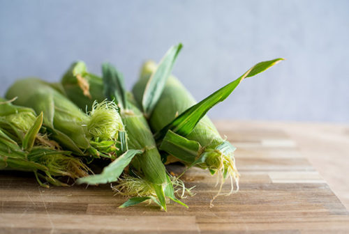 Corn on the cob with the husks still on and the tassels green and brown