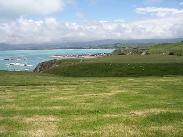 picture from New-Zealand-PCT