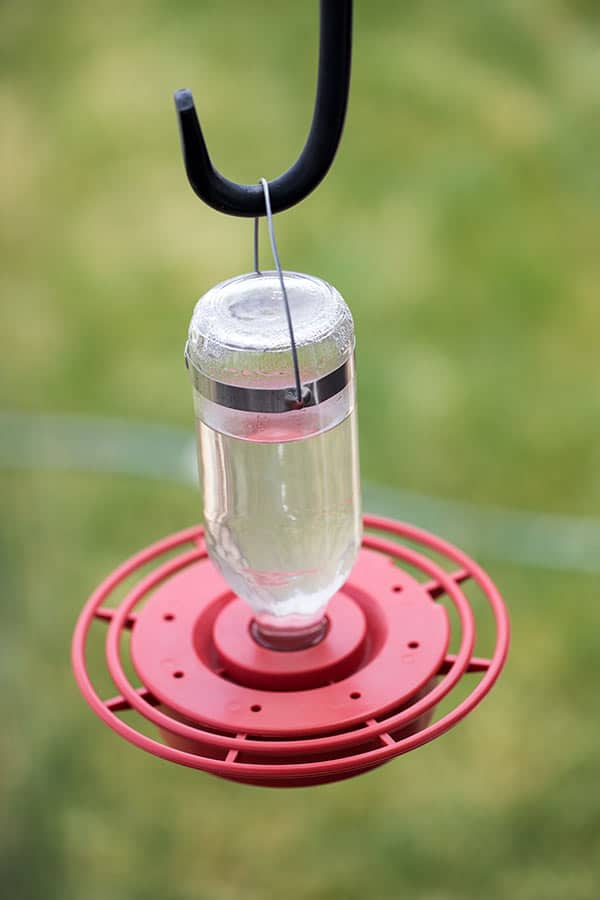 I bought a shepherd\'s hook at the garden store to hang my hummingbird feeder on in my back yard.