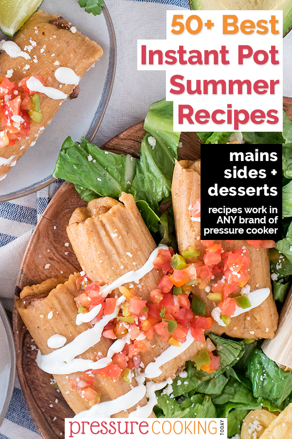 ☀️ Keep your house cool this summer and cook with your Instant Pot! Find a new favorite with one of these 80 Instant Pot Summer Recipe ideas for main dishes, side dishes, and desserts. via @PressureCook2da