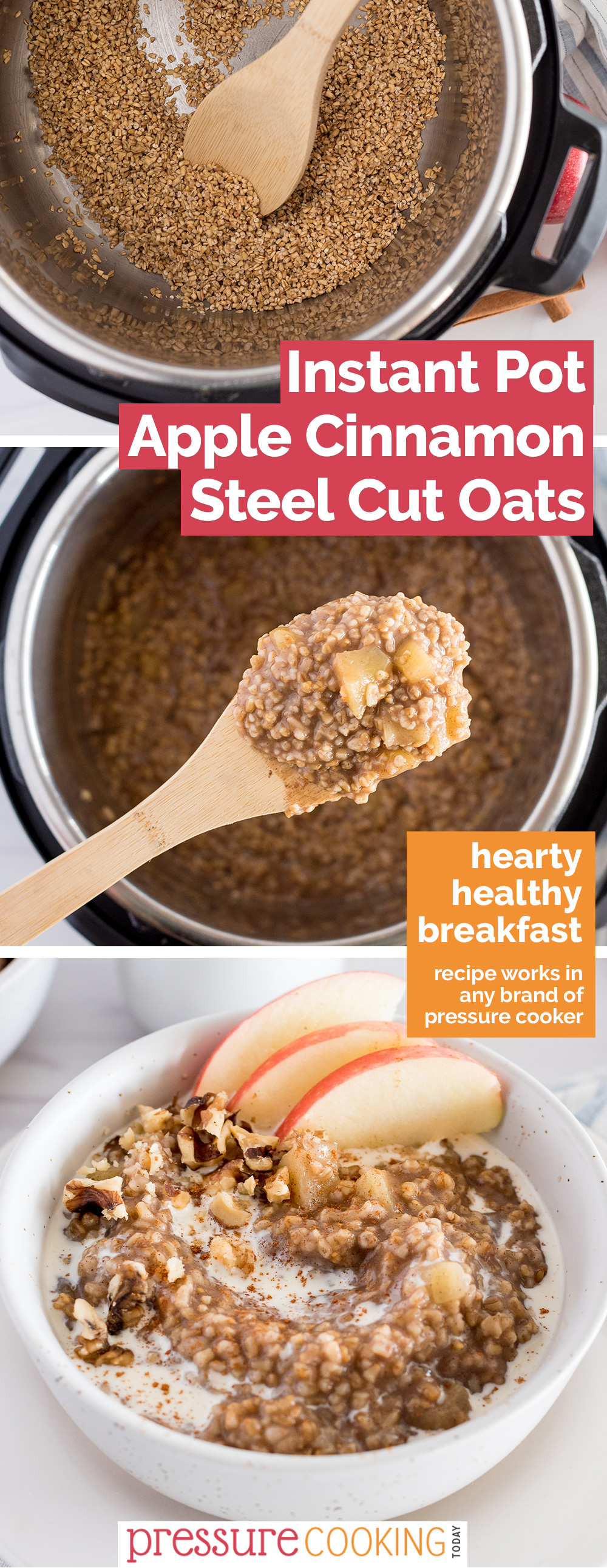 Instant Pot Apple Cinnamon Steel Cut Oats via @PressureCook2da