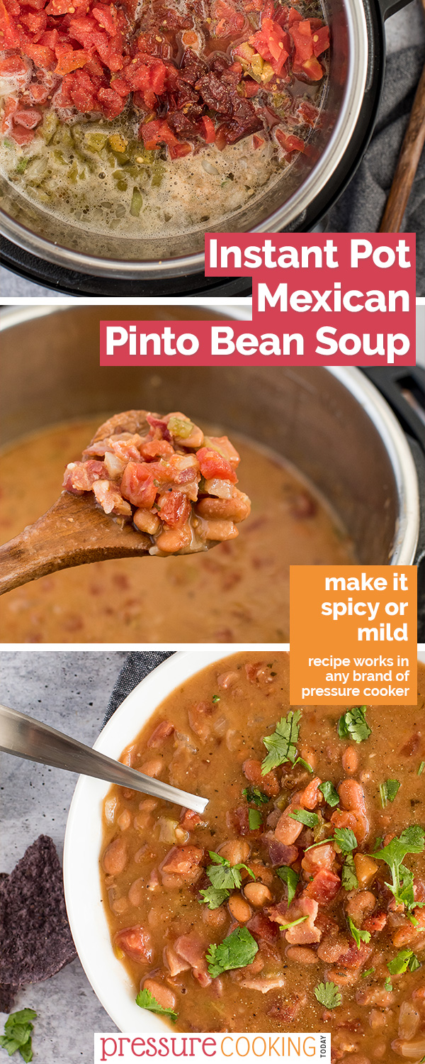 Mexican Pinto Bean Soup | Recipe works in the Instant Pot, Ninja Foodi, and any other brand of electric pressure cooker. aka Charro Bean Soup, it packs just the right amount of heat and is full of healthy protein in a rich and flavor-packed tomato-beer broth. via @PressureCook2da