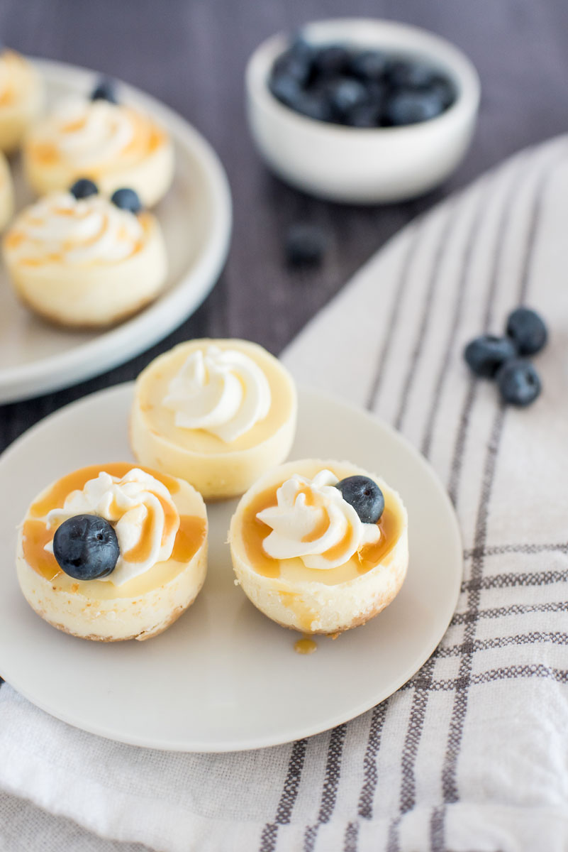 small white plate with three mini cheeesecakes