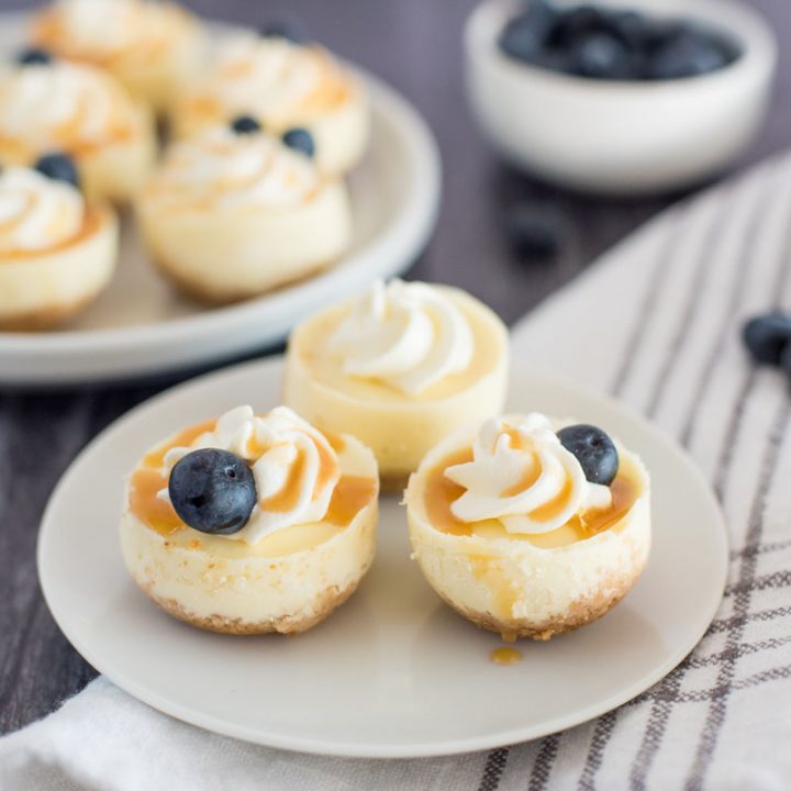 small white plate with three mini cheeesecakes