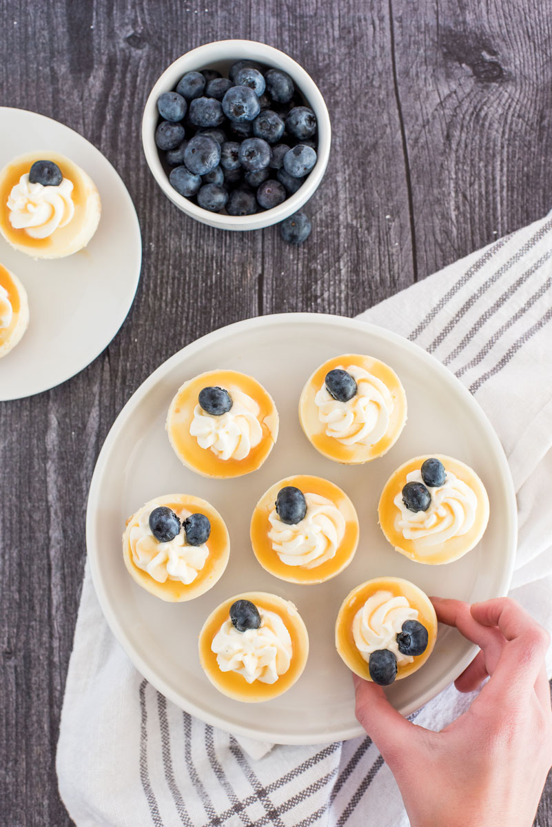 hand grabbing an instant pot mini cheesecake bite with blueberries from a white plate