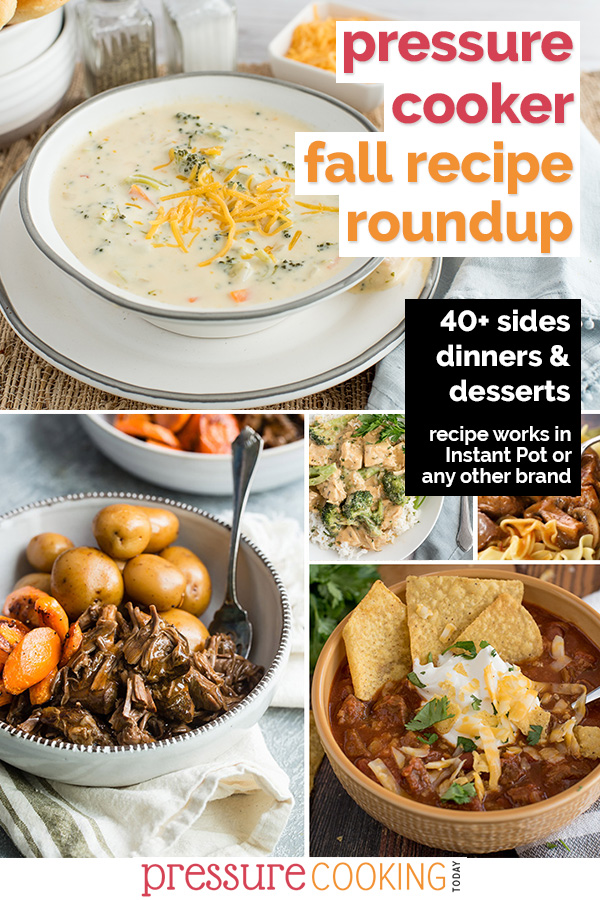 Chili, gravy, soups, for dinners and pumpkin spice desserts! Looking for some great recipes this fall? You'll find a new favorite in one of these fall dinners, side dishes, soups, and desserts. via @PressureCook2da