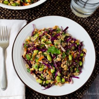 Pressure Cooker (Instant Pot) Thai Quinoa Edamame Salad